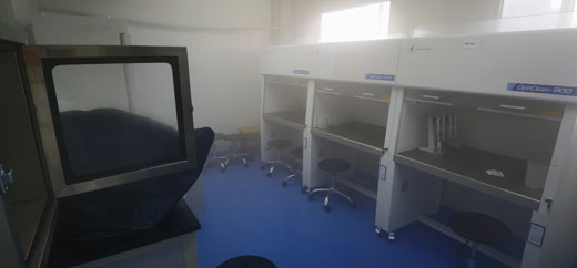 大理學(xué)校除甲醛